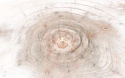 2014 05 27 Symphony in Silence 21-white.jpg